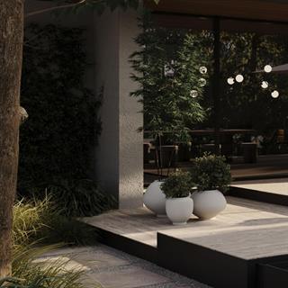 101 Copenhagen Sunao Fat Hexa Birch Saksı