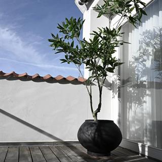 101 Copenhagen Sunao Fat Hexa Black Saksı