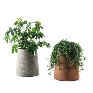 Ethimo Bulbi Allium Grigio Carbone Vase