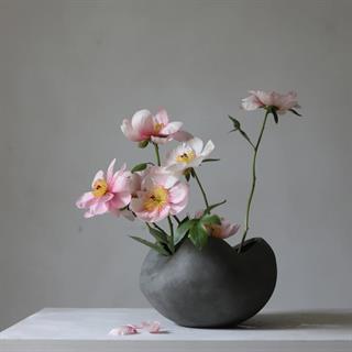 Curve Kase - Big - Dark Grey