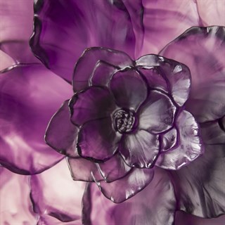 Daum Camelia Large Purple Dekorotif Kase