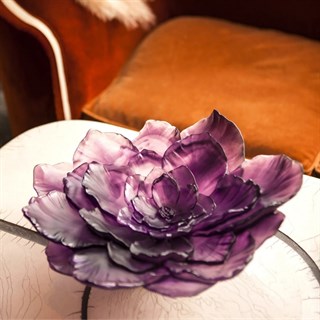 Daum Camelia Large Purple Dekorotif Kase