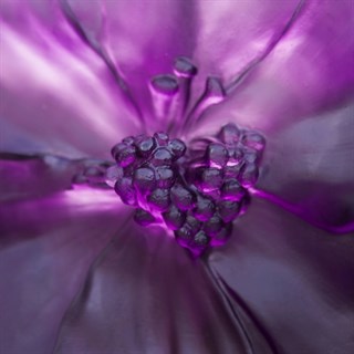 Daum Camelia Large Purple Vase