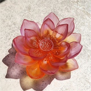 Daum Jardin De Lotus Amber Pink Floral Sculpture
