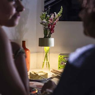 Foscarini Fleur Sage Green Table Lamp