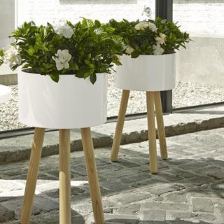 Jean-Baptiste Saksı - Indoor / Outdoor