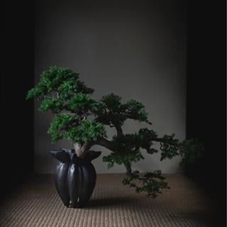 Lotus Vazo - Mini - Coffee