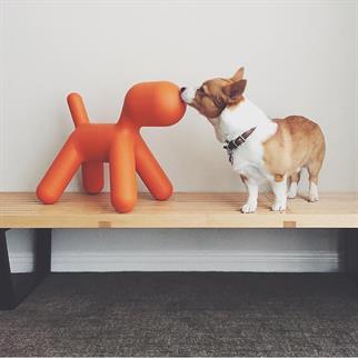 Magis Puppy Medium Orange Köpek Heykeli