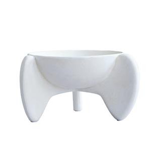 Wing Kase - Mini - Bone White