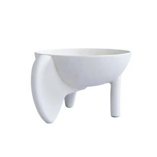 Wing Kase - Mini - Bone White