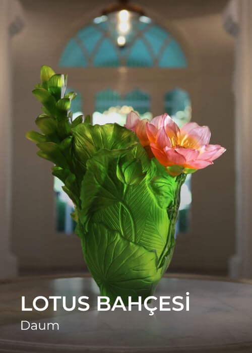 Daum Ginkgo Koleksiyonu