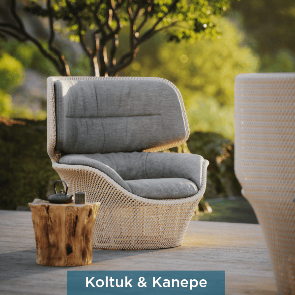 Koltuk & Kanepe kategorisi