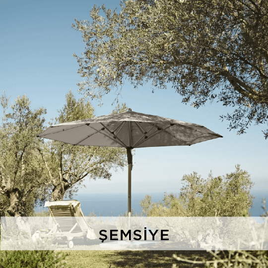 Şemsiye