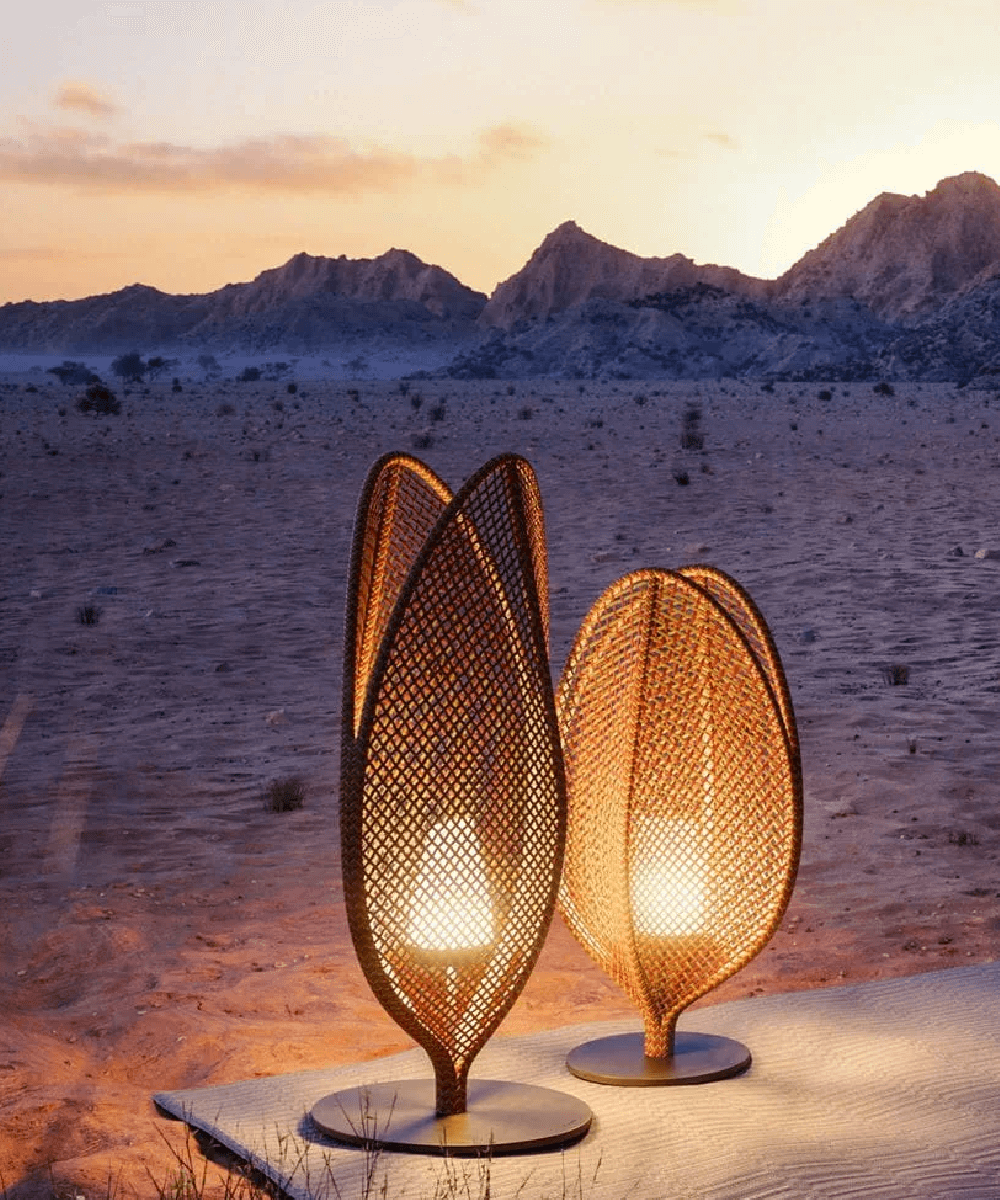 Complementary Products