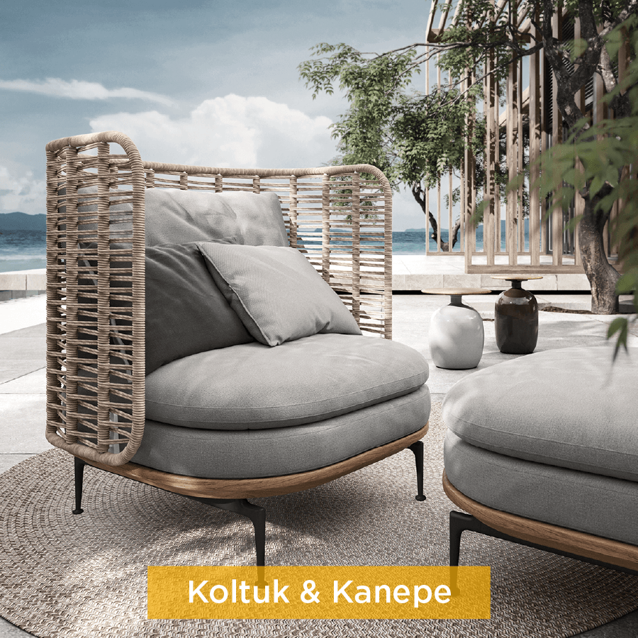 Koltuk & Kanepe kategorisi