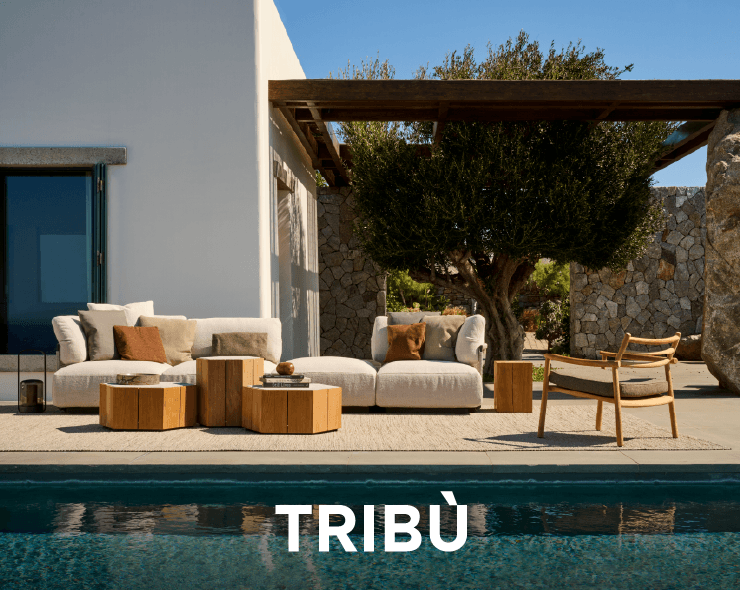 Tribu