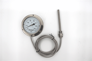 Q100 FLANŞLI TİP TERMOMETRE