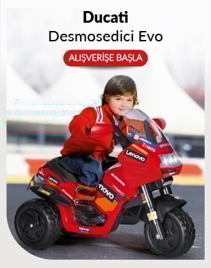 Ducati Desmosedici Evo