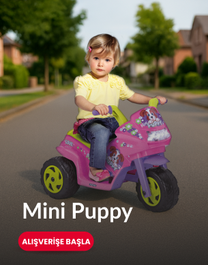mini puppy akülü motor