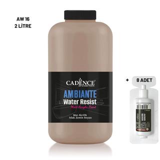 Ambiante Wet Surface Paint AW-16 Carton 2000ML + Catalyst 80Gr
