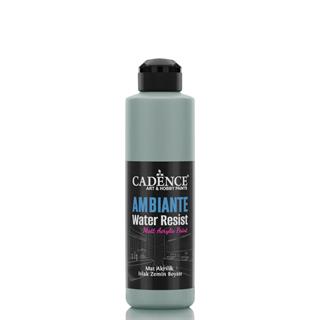 Ambiante Suya Dayanıklı Boya AW-12 Küf Yeşili 250 ML