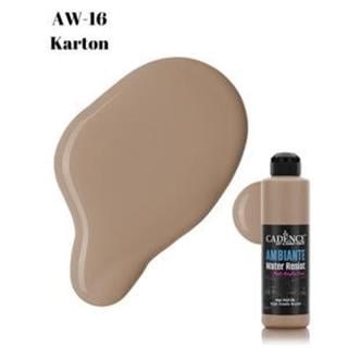 Ambiante Suya Dayanıklı Boya AW-16 Karton 250 ML