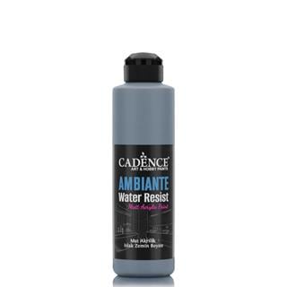 Ambiante Suya Dayanıklı Boya AW-20 Koyu Arduvaz Gri 250 ML