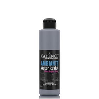 Ambiante Suya Dayanıklı Boya AW-21 Koyu Gri 250 ML