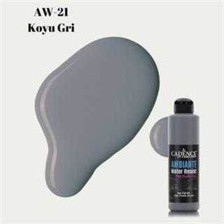 Ambiante Suya Dayanıklı Boya AW-21 Koyu Gri 250 ML