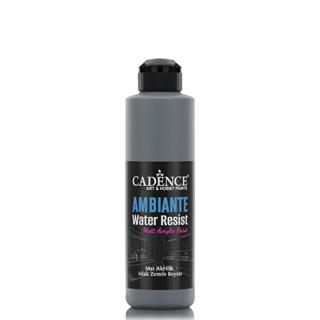 Ambiante Suya Dayanıklı Boya AW-22 Grafiti Gri 250 ML