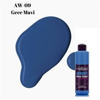 Ambiente Suya Dayanıklı Boya AW-09 Gece Mavi 250 ML