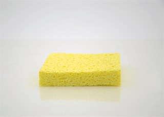 Bitkisel Sünger 
