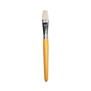 CA6012 Flat Bristle Brush 