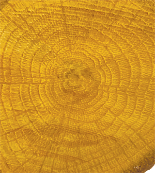 Color On Color Varnish Cv-01 Yellow 90ml