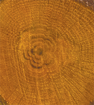 Color On Color Varnish Cv-02 Orange 90ml