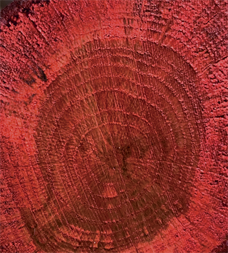 Color On Color Varnish Cv-04 Red 90ml