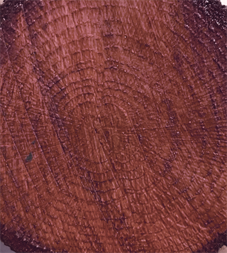 Color On Color Varnish Cv-06 Mahogany 90ml