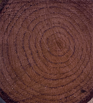 Colour On Renkli Vernik Cv-07 Venge 90ml