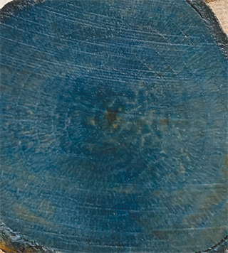 Colour On Renkli Vernik Cv-09 Mavi 90ml