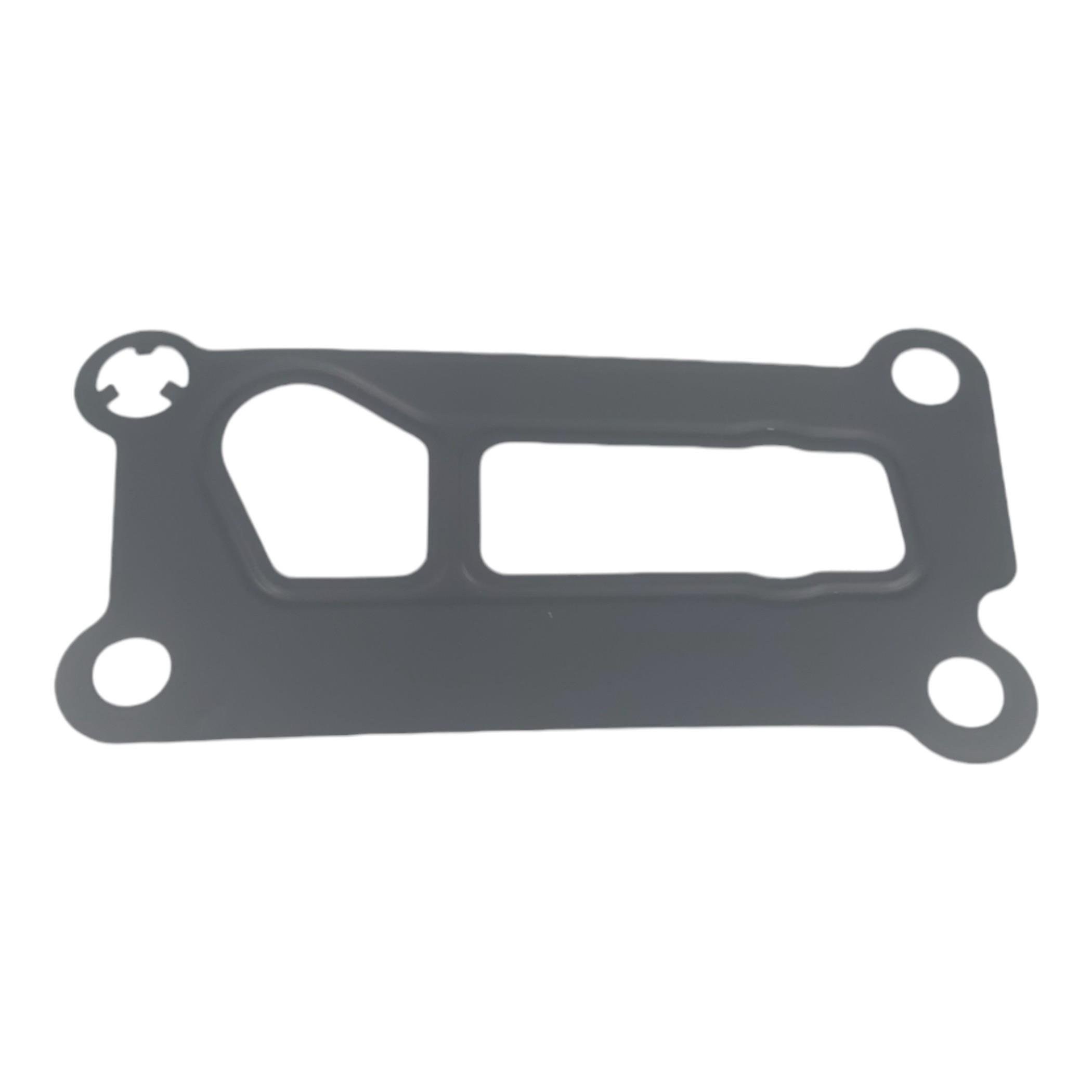 LR025007 YAG FİLTRE ADAPTÖR CONTASI 2.0 BNZ