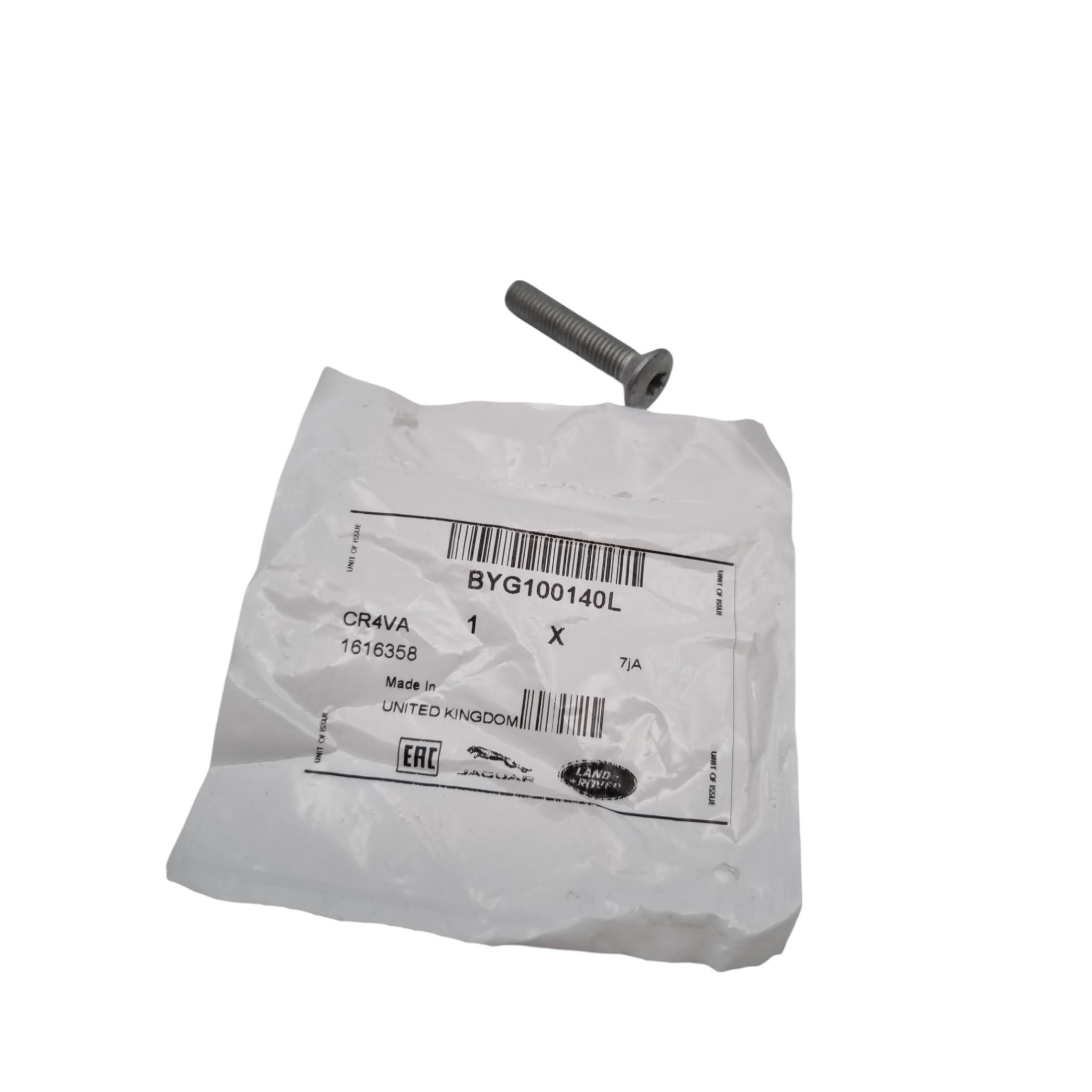 BYG100140L KAPI MENTEŞE VİDASI