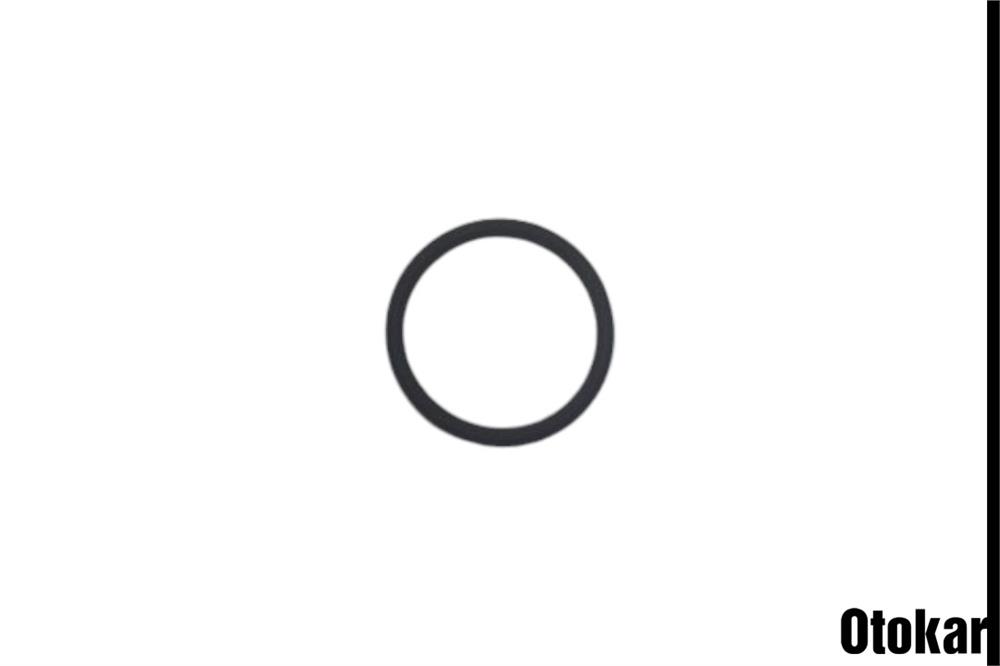 DEFENDER GEÇME POMPA ORİNGİ M.1012-EC 115 S 1319139 