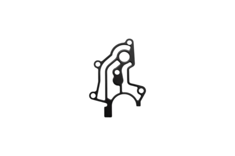 EKSANTİRİK MİL YUVA KAPAK CONTASI 1-4 V8 M62 RANGE ROVER LJQ000010