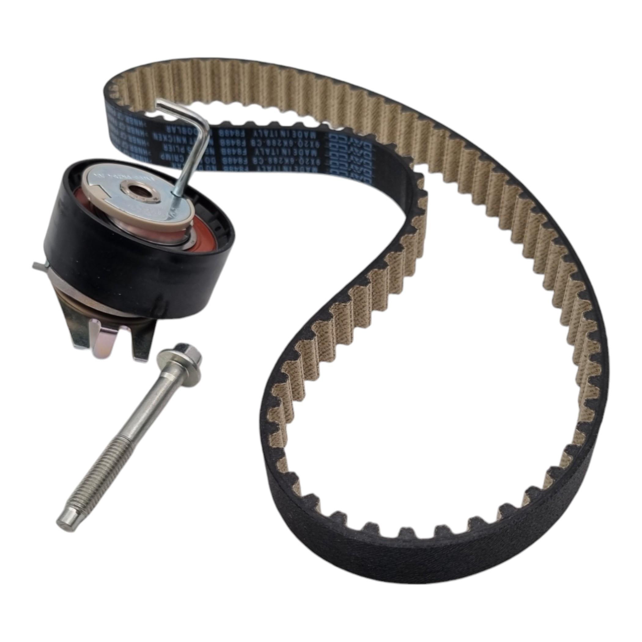 LR069054 TRİGER KAYIŞI