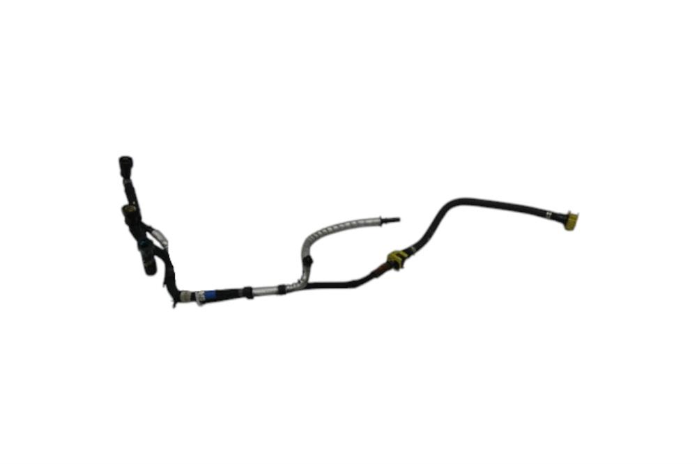 LR071915 MAZOT HORTUMU