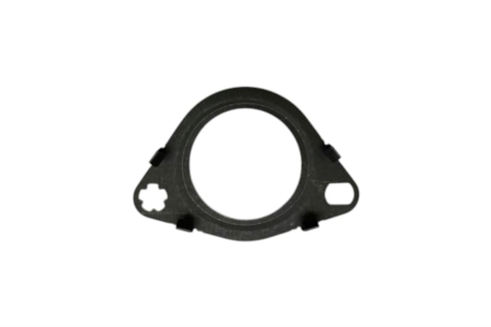 LR095555 EGR CONTASI