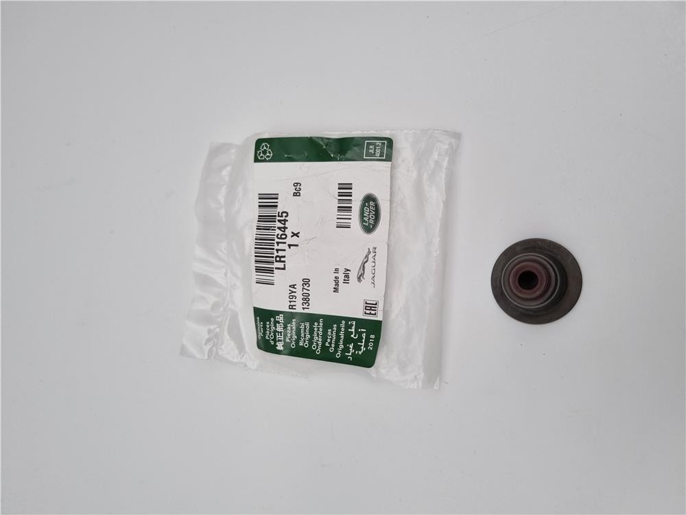 LR116445 SİBOP LASTİĞİ