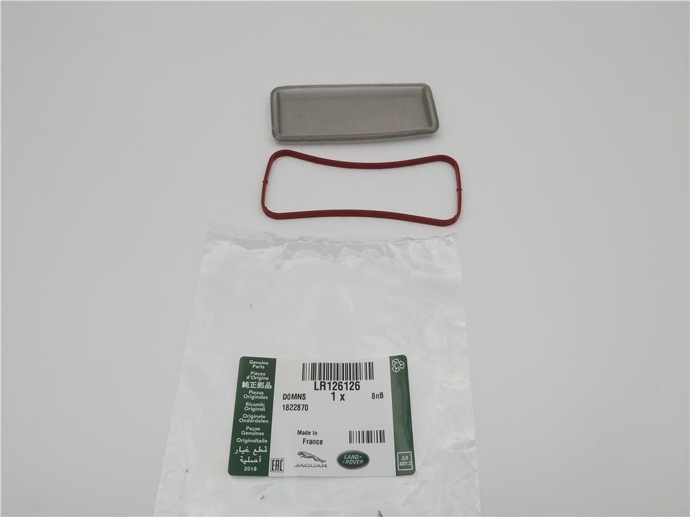 LR126126 EGR FİLTRESİ