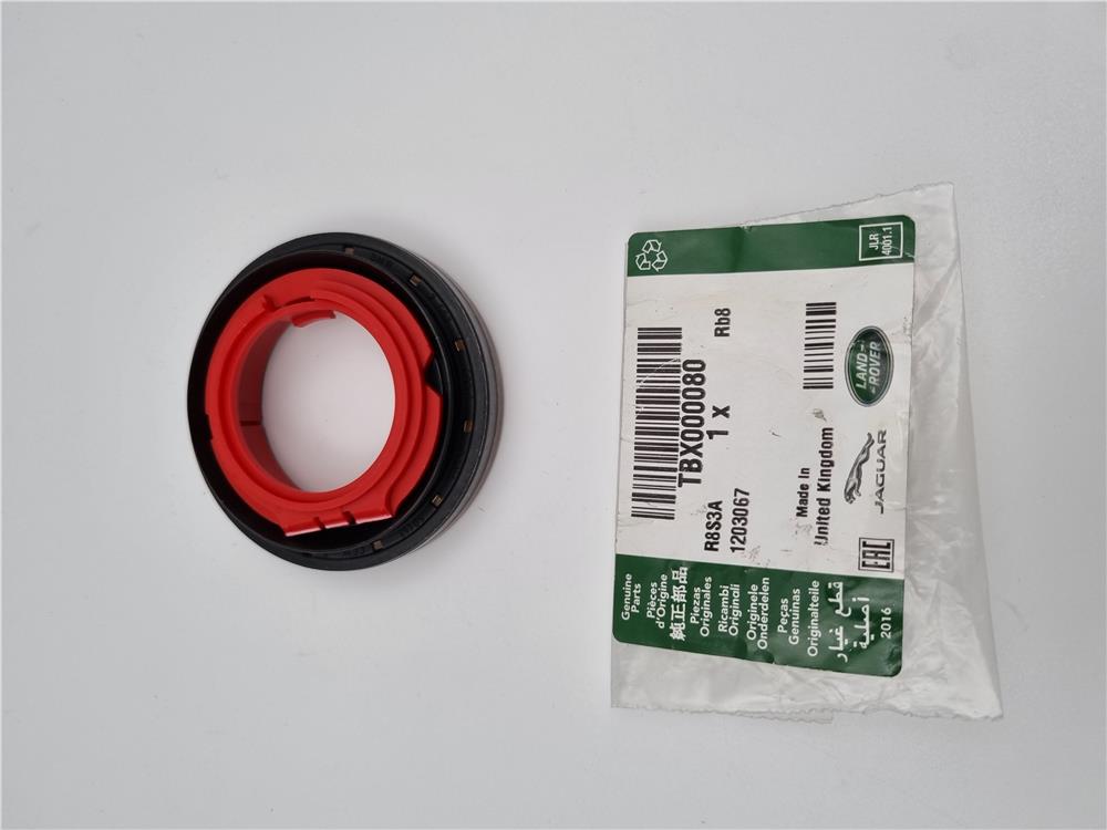 TBX000080 KEÇE