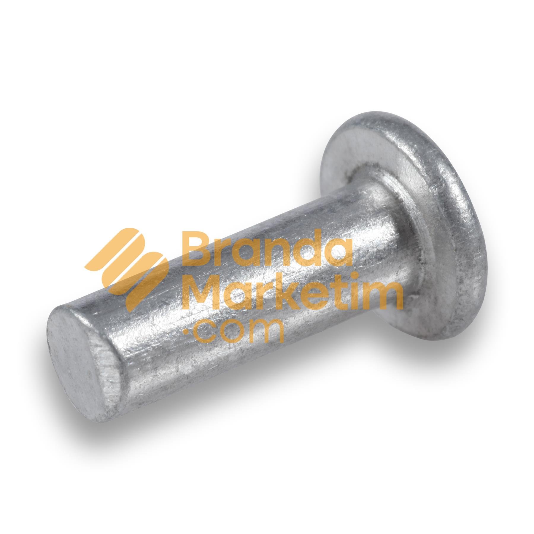 Rivet- 1 Pack (1 kg)